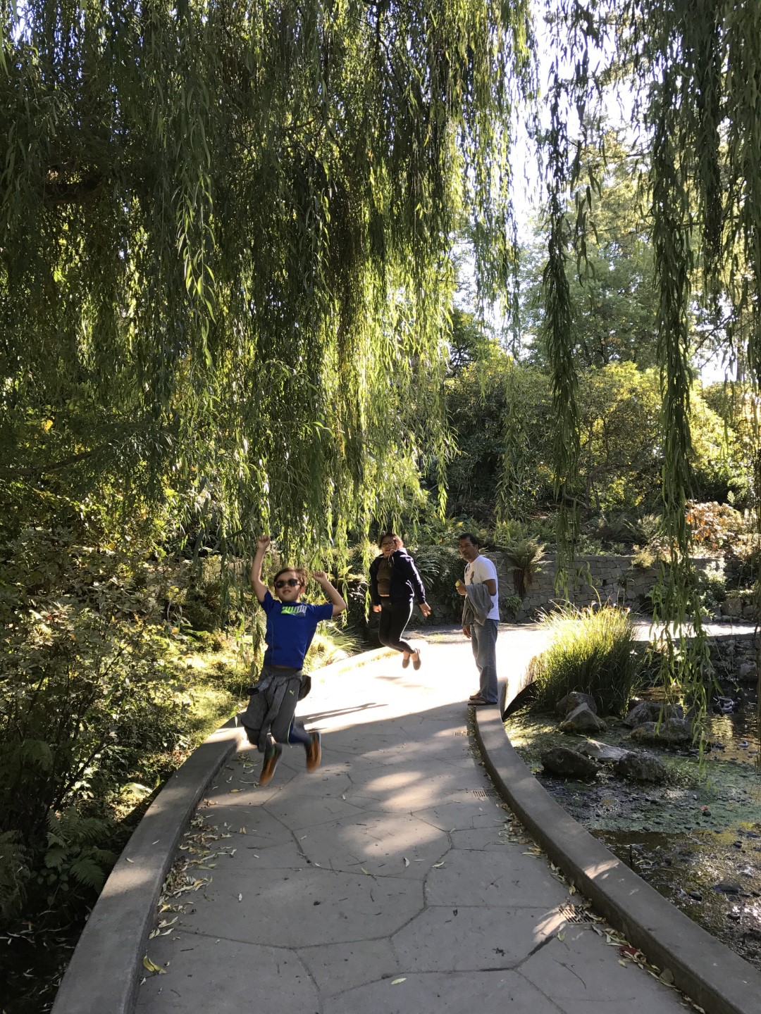 pics/IMG_0041 (2).jpg